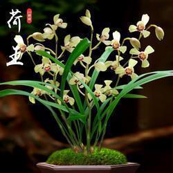纪念九一八句子说说(精选90句)