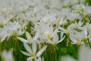 姐妹相聚开心的句子