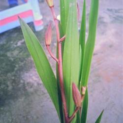 表达想念爱人的情话 最感动情人的一句话