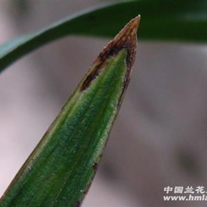 分手后伤感的唯美句子