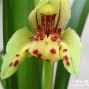 元旦跨年温暖可爱文案(精选98句)