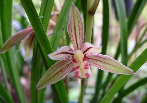 形容卑微的伤感句子 描述卑微的爱情句子(精选33句)