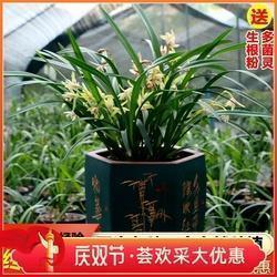 关于做人做事的说说 怎样做人做事的说说33句