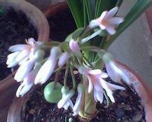 朋友分别时不舍的句子精选(精选65句)