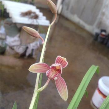 表达心寒失望的说说收集25句