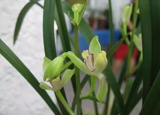 【精华】2021年精辟的爱情句子推荐101句