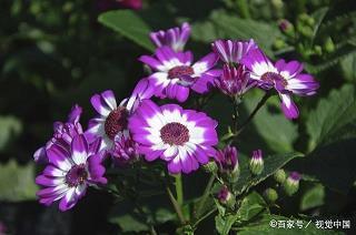 男生伤感的句子看了都想流眼泪