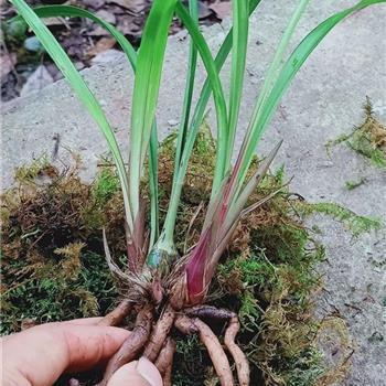 学习正能量的句子