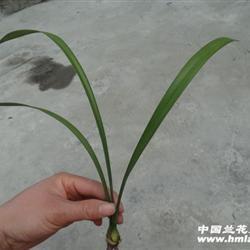 睡前一句话暖心话 晚安说说正能量致自己推荐75句