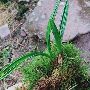 高考考前的励志金句大全