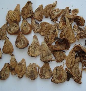 唯美的网红句子 网络上很红的经典短语