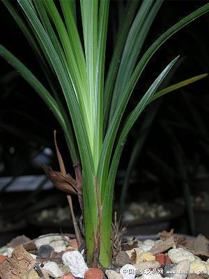 秋天旅游发朋友圈的精美句子 秋天的句子短句唯美合集33句