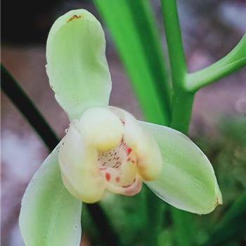 细嚼慢咽写一个句子摘抄18句