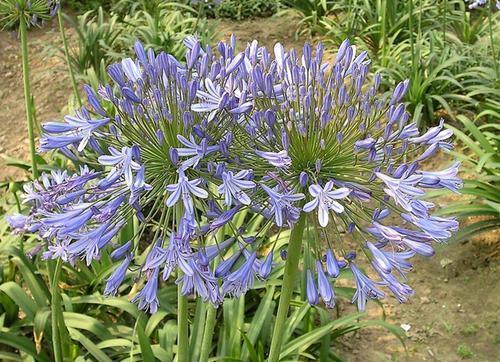 表达对人失望的句子