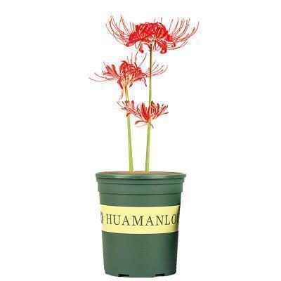 最精辟的离职感言 离职伤感的句子收录29句