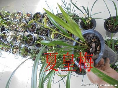 精益求精的意思是什么_精益求精的近义词_精益求精造句