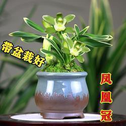 赞美母爱的句子母亲节推荐44句