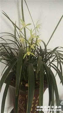 一秒泪崩的句子