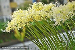 人生孝道感悟的句子 孝顺父母的经典句子汇总47句