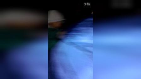 种树唯美句子33句