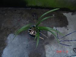 关于无私的正能量句子