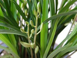 立秋时节微信问候短信(精选96句)