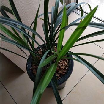 家装套餐活动推广语：精装优惠跟我走