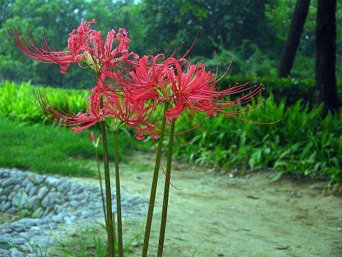 2021教师节的句子祝福老师(精选65句)