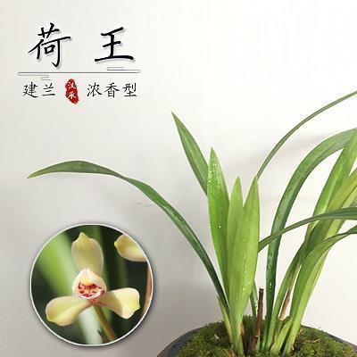 加油励志的句子致自己简短