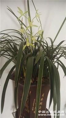 勇敢时好句经典赏析