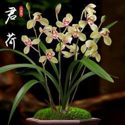 适合冬天发的文案 关于冬天的唯美句子摘抄25句