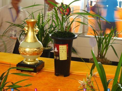 适合校园风景的文案(精选37句)