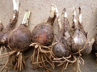 早上发朋友圈温馨句子 早晨的说说 朋友圈(精选72句)