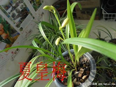 适合周末发的说说(精选100句)