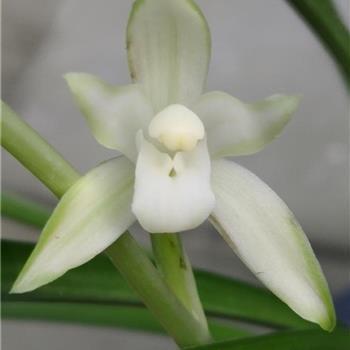 关于曲终人散的唯美句子大全