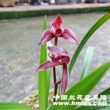 2021七夕情人节抖音说说文案(精选48句)