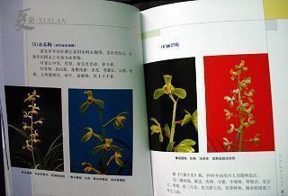 表面开心内心难过的句子