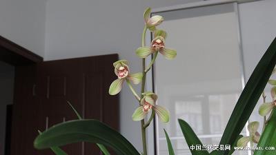 关于自然景物的句子44句