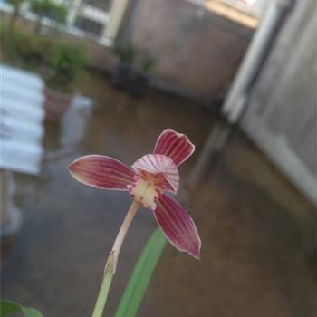 鼓励别人加油的暖心话