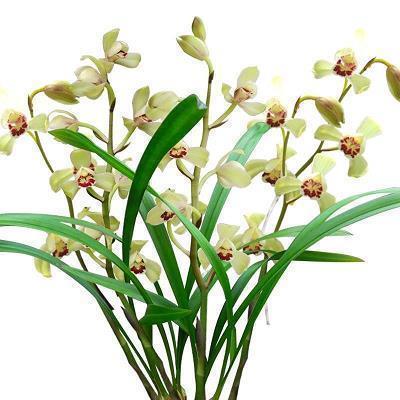 高中毕业留言唯美句子85句