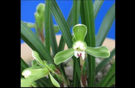 写给妈妈的赞美句子大全 2021母亲节赞美妈妈的话简短唯美