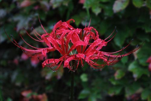 亲情淡薄的让人心寒的句子 表达对父母失望的句子