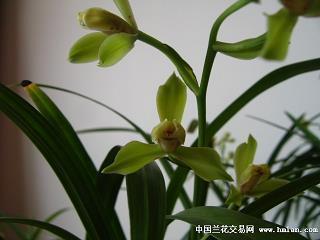 送给退役军人的暖心句子