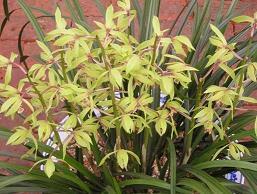 简短经典的唯美句子 做一个幸福的人,成为最好的自己