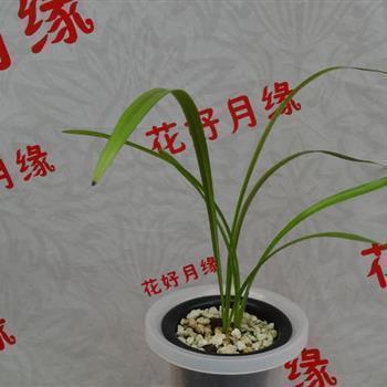 晚安心语个性说说大全30句
