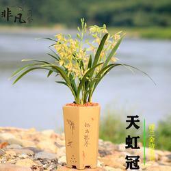 石榴发朋友圈怎么写一句话