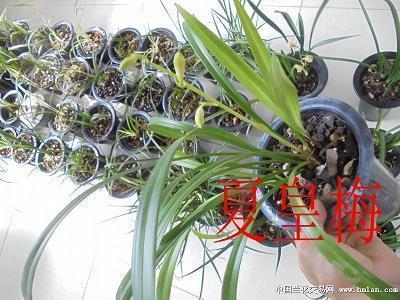 2021激励团队正能量的句子65句