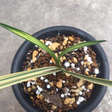 令人醒悟的句子59句