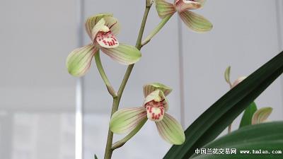 表示伤感的秋天句子