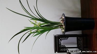 重阳节心情文案说说(精选98句)